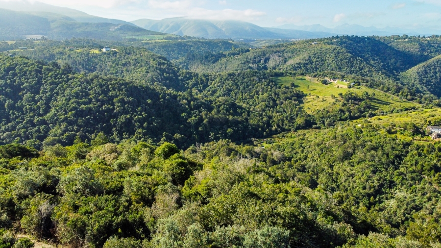 0 Bedroom Property for Sale in Wilderness Heights Western Cape